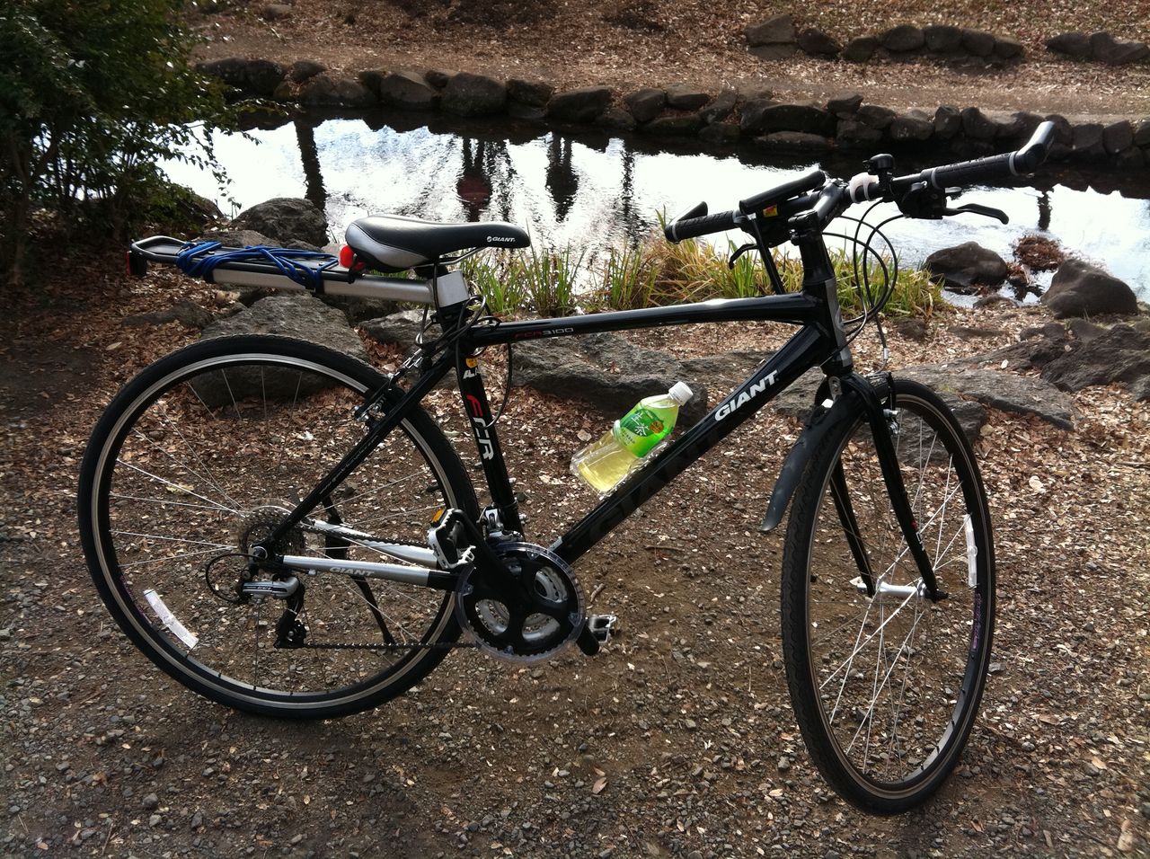 giant fcr 3100
