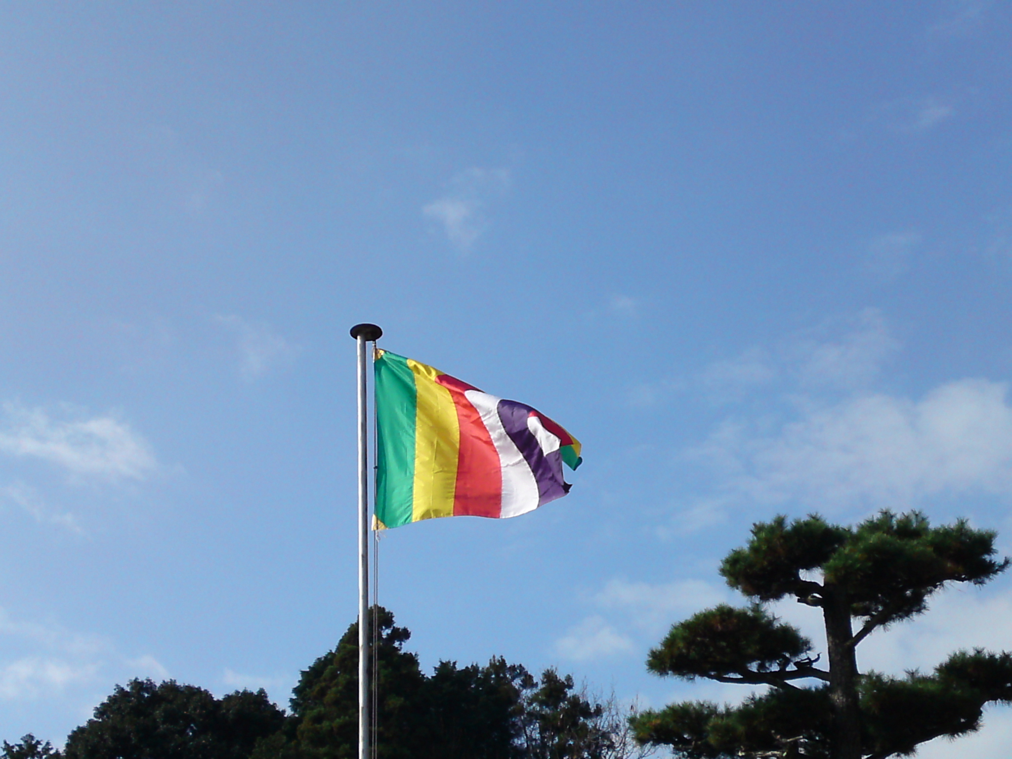 報恩講法座勤修 浄土真宗本願寺派 大寂山最禅寺