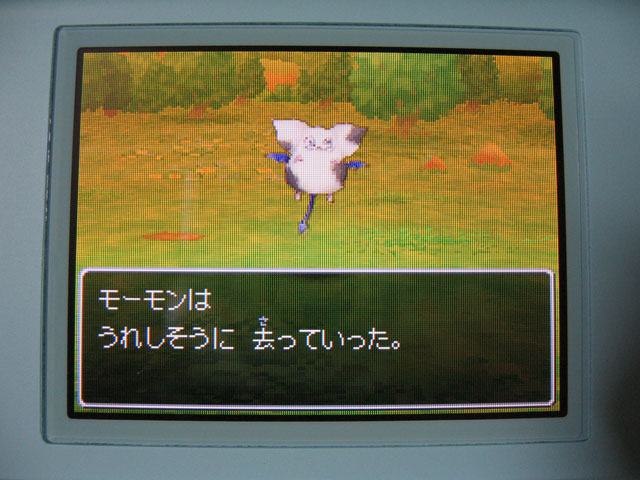 ドラクエ9日記 Lv 10 モーモンするならイマノウチ 役に立たないアドバイス