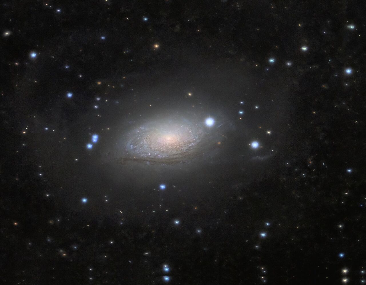 カメラ : 持続可能な天体趣味 (SAA)