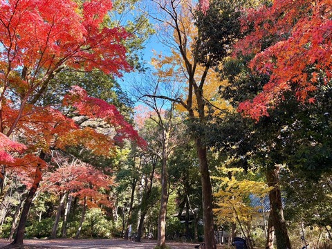 D628E9DF-B7BD-49F1-8772-C87117CB8194