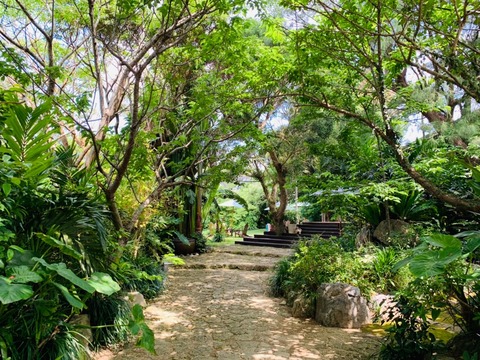 773DF8E7-8825-4687-B636-BAF696F956C6