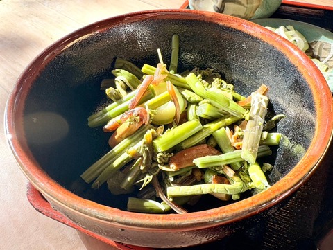 3CDF9C95-B080-420D-8DB4-6A54845FACAC