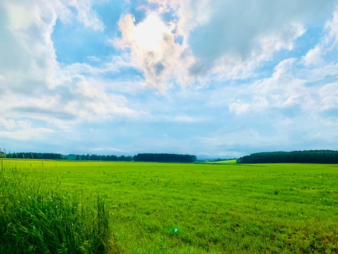 B3D84D57-6316-49CF-A79F-854F4951827C