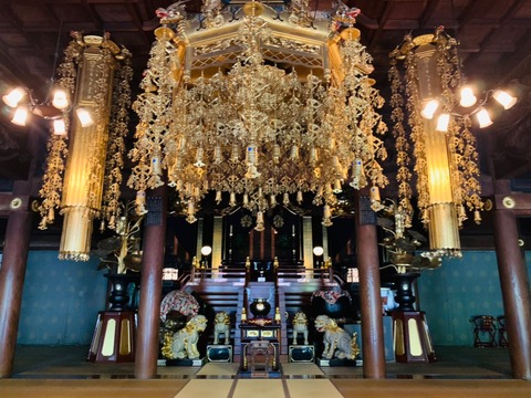 FC20A72E-5F21-40B3-81A5-37B258344F60