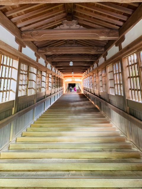 03D889BD-7BD0-4390-A8C5-9CAE429D35A9