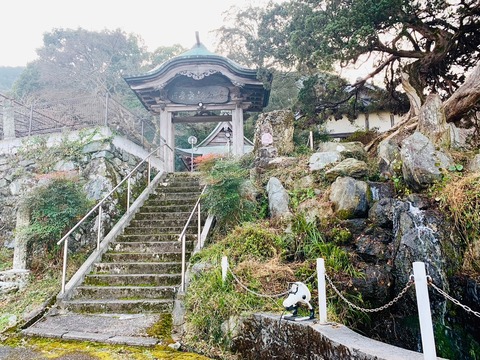 44EBDE45-2525-42DB-A891-120F9F1975C8