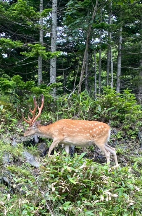 CDC6FA89-9925-4E13-9576-EF7AFCB74CCD