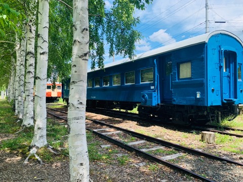 3C62D4C3-9D04-4386-833F-EE0DE5F98317