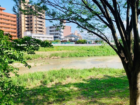 C4823F3E-9CAE-4388-9A1D-DA9A2E046572