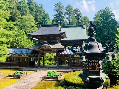 C7E2E972-E6EB-4485-AB31-D6CF9D9E9310