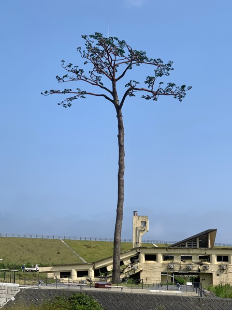 1BC5DC9F-30F0-48E8-9411-7725B2385F95