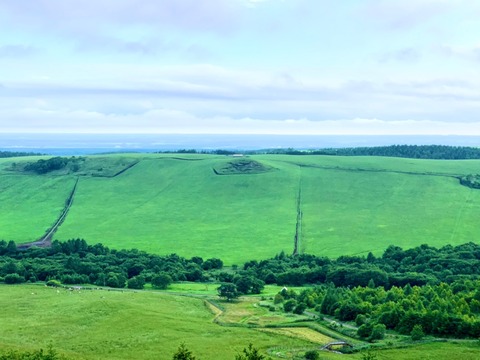 08ED87F0-BA1C-4E7E-9BDE-E04EB2456845