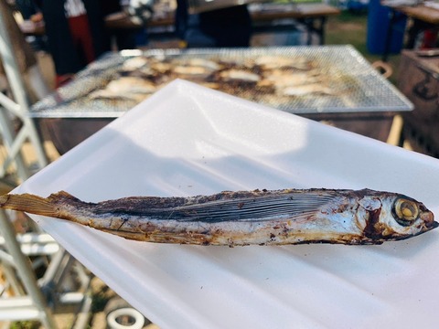 2EFF235F-73CE-454C-8692-36FB1B82394E