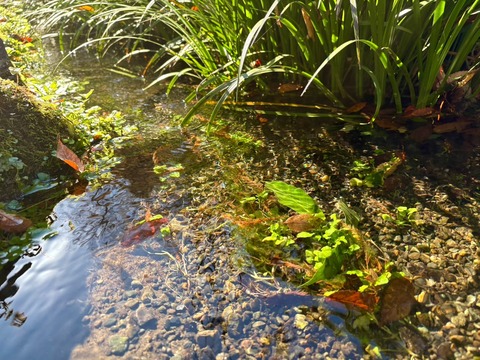 237595BC-59FD-40DC-AA05-2770765EFC29