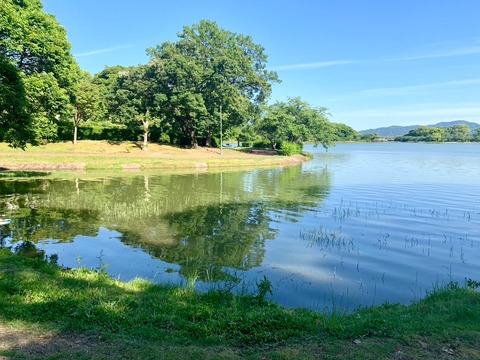 A94942EE-379F-491C-B204-DBD9129FDAF2