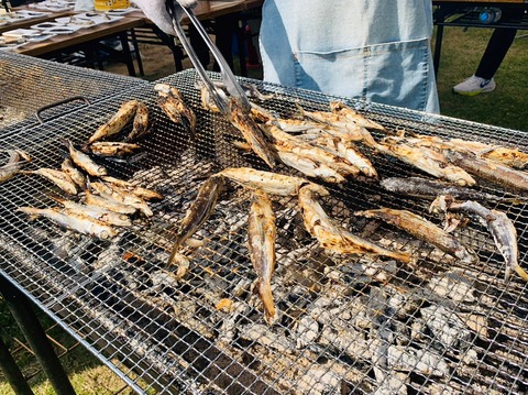 75852733-73A2-4336-A5EC-25769067B399