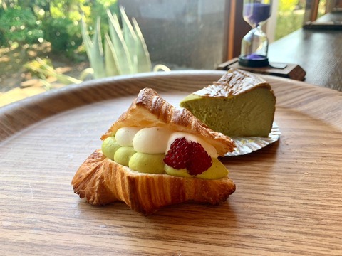 1FC32C1C-068C-40D2-81E9-B9B0EAE8AEF1