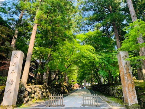 C2E191E4-7D2B-43CC-B11E-C357DDD021C5