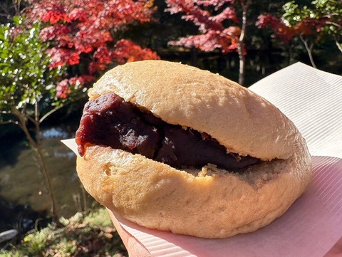 44A15BC6-ACDD-445C-9452-5173E7AA3C11