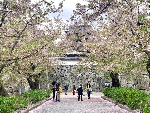 8607C72E-5F1E-4F20-931A-72A49710A3B3