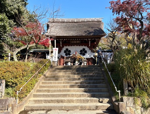 152C4C96-AC43-4544-A4B6-00C532221CC5