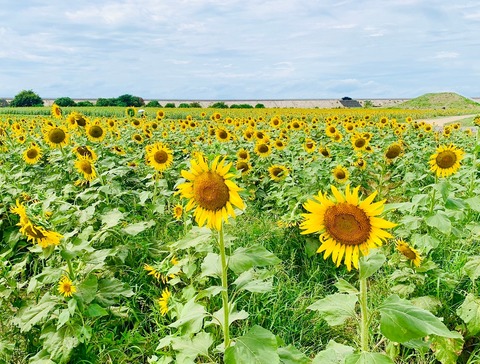 01395D5A-E7A1-4D1E-AFDC-D291664DF973