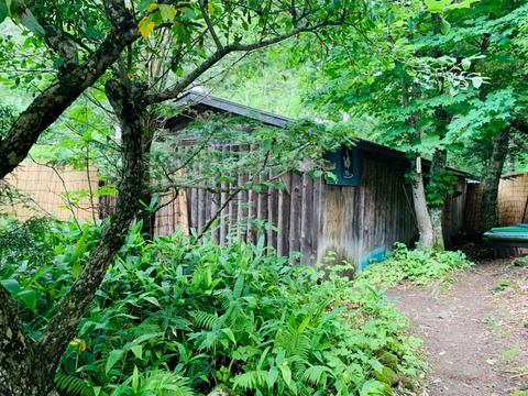 8E231AAA-B1D3-4963-B6D0-CF837E3F759E