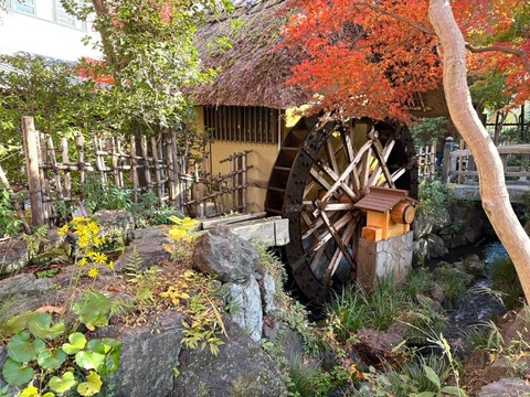 B21393C5-AD9B-4F0C-A23E-A884552308A8