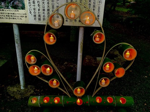 AE105C45-B29A-420A-B592-9EEB2972FB9C