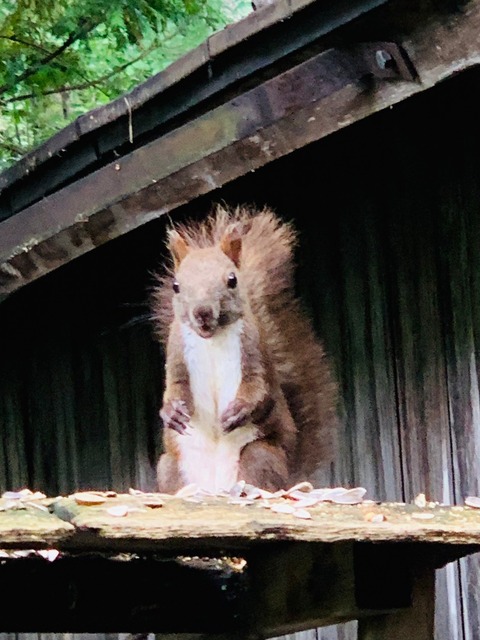 B0DABD19-5E87-4252-92ED-10F0511A5985