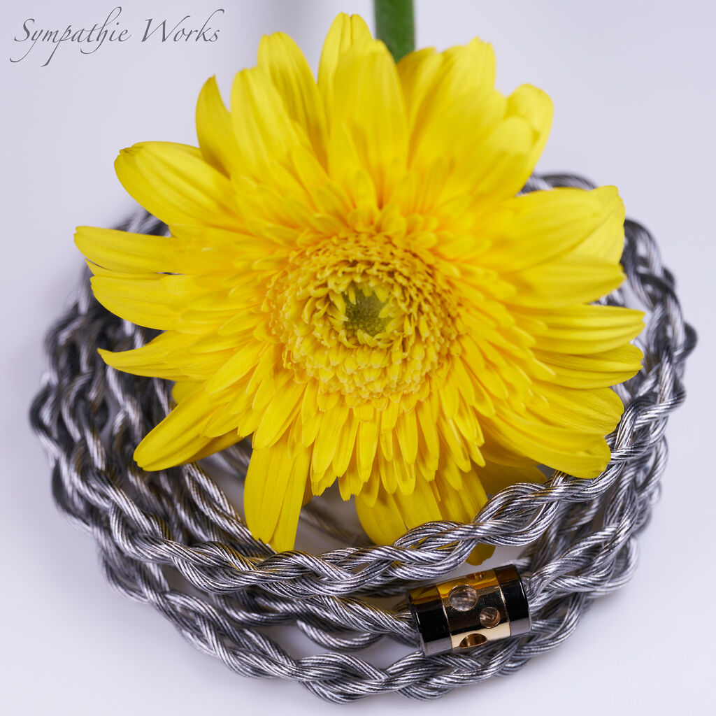 販売終了作品 : SYMPATHIE WORKS