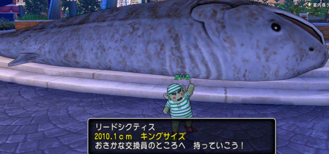 キング魚の相場をみてきた かいろさんのおもしろブログ