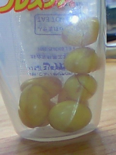 噛むブレスケアの末路 周参見邸 東京