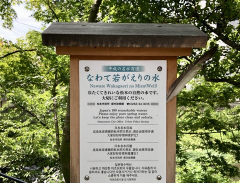 fullsizeoutput_3282