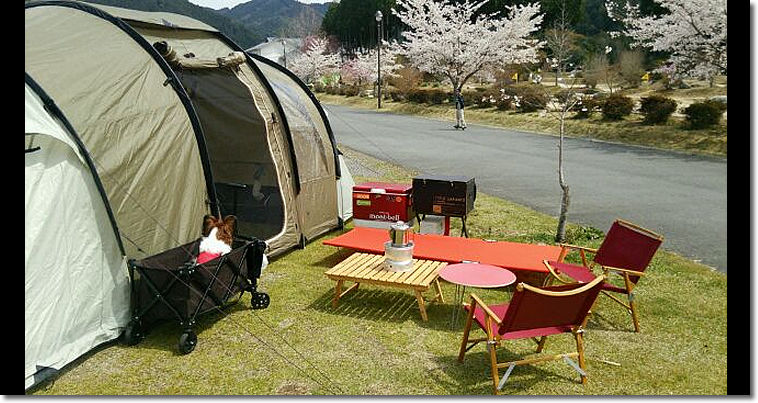 TRAVEL CHAIR スリープライトコット トラベルチェア スリープライトコット / TRAVEL CHAIR SLEEPLITE COT