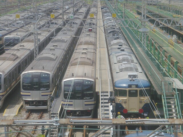 Ef64 1031 牽引の 113系廃車回送配給列車 Always 永遠を駆け抜ける一瞬の僕ら