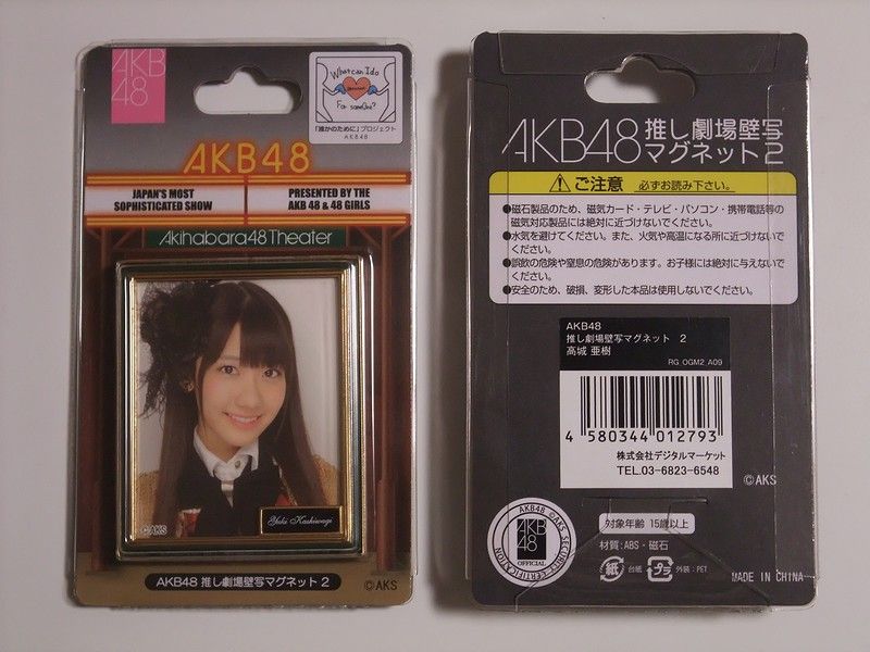 AKB48 推し劇場壁写マグネット 2 : always ─永遠を駆け抜ける一瞬の僕ら─