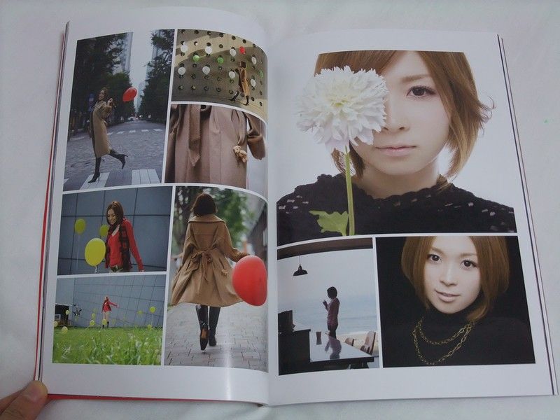 愛内 里菜さんのプレミアボックス 「RINA AIUCHI PREMIER BOX 愛内 里菜さんのプレミアボックス 「RINA AIUCHI PREMIER BOX