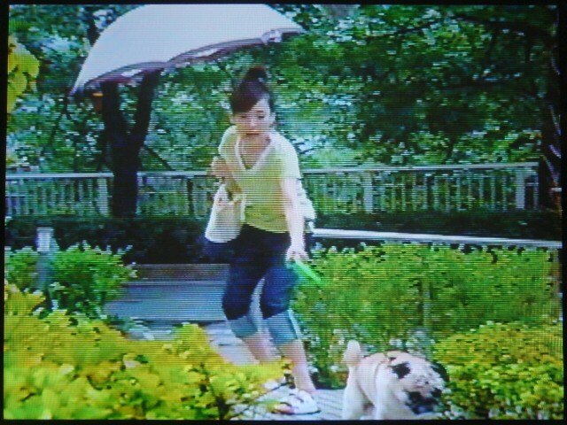 結婚できない男 第5話 家に人を入れないで悪いか Always 永遠を駆け抜ける一瞬の僕ら