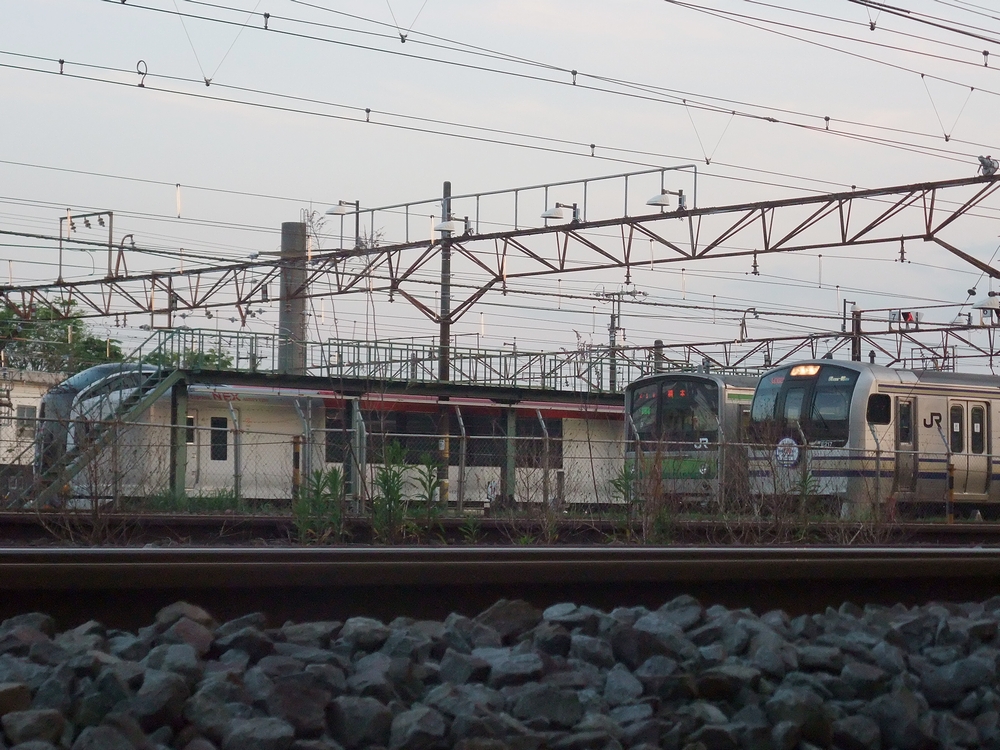 特急 成田エクスプレス 号用の新型車両e259系が登場 Always 永遠を駆け抜ける一瞬の僕ら