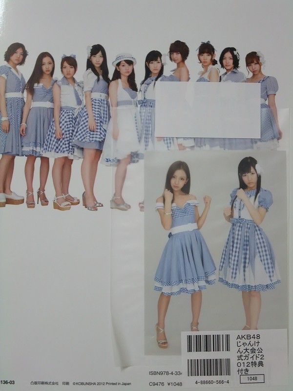 AKB48 じゃんけん大会 2016 会場 生写真 チームB チーム4 バラ AKB48