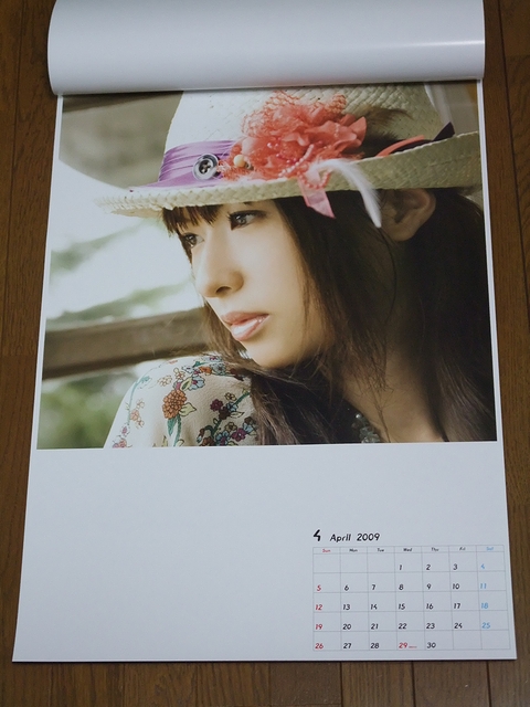 GARNET CROW インタビュー記事 フライヤー 非売品 カレンダー GARNET CROW インタビュー記事 フライヤー 非売品 カレンダー