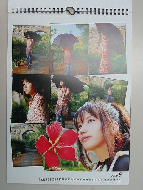 GARNET CROW の2008年カレンダー : always ─永遠を駆け抜ける