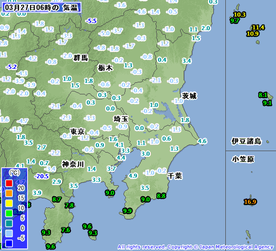 Ｋ．ＡＲＩＭＯＲＩのお天気日誌花に雪の条件下、続く