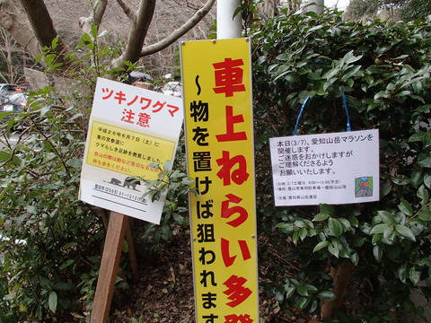 P3070019