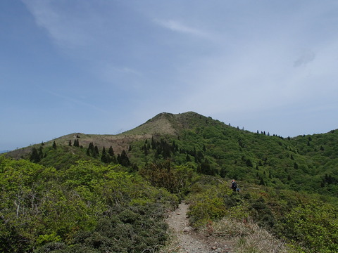 P5240067