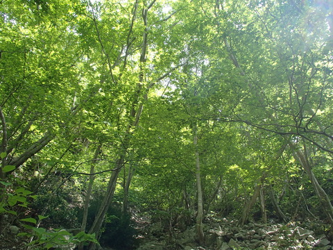 P5240011