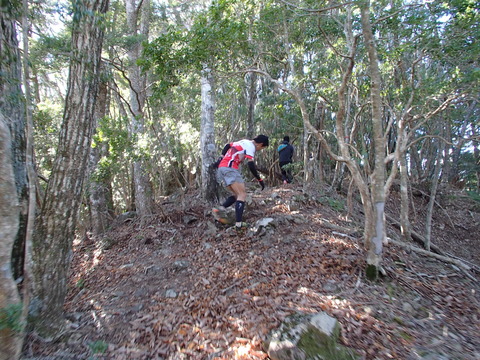PC060069