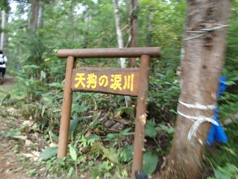 P9140031